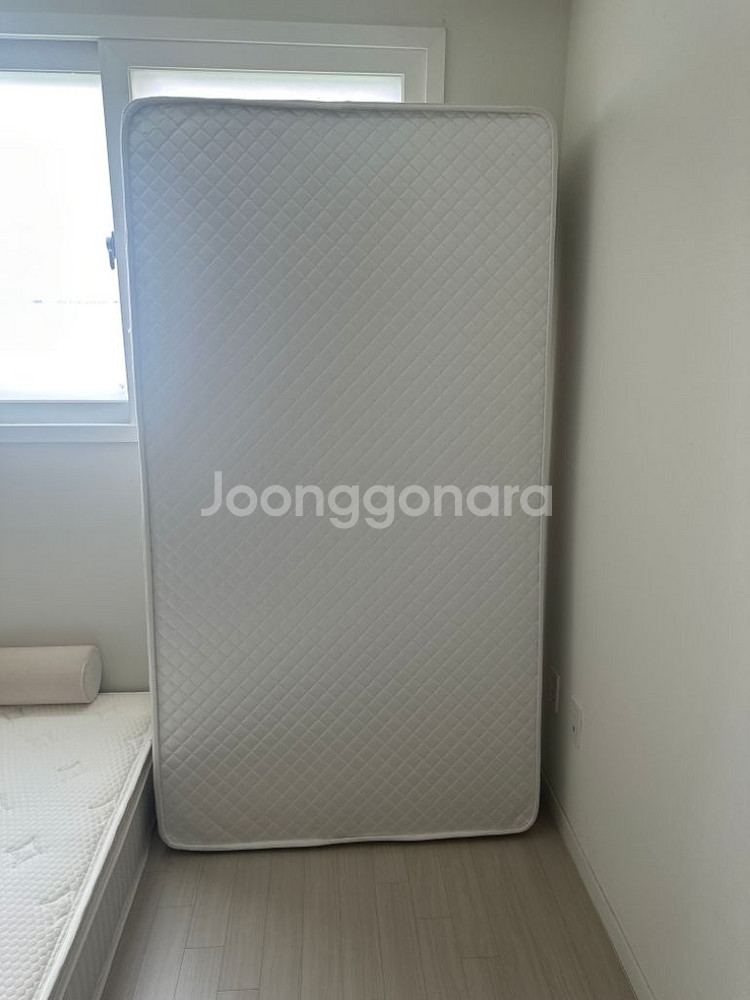 가구--1