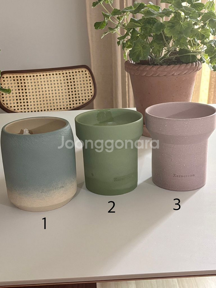 카네즈센 토분 화분--0