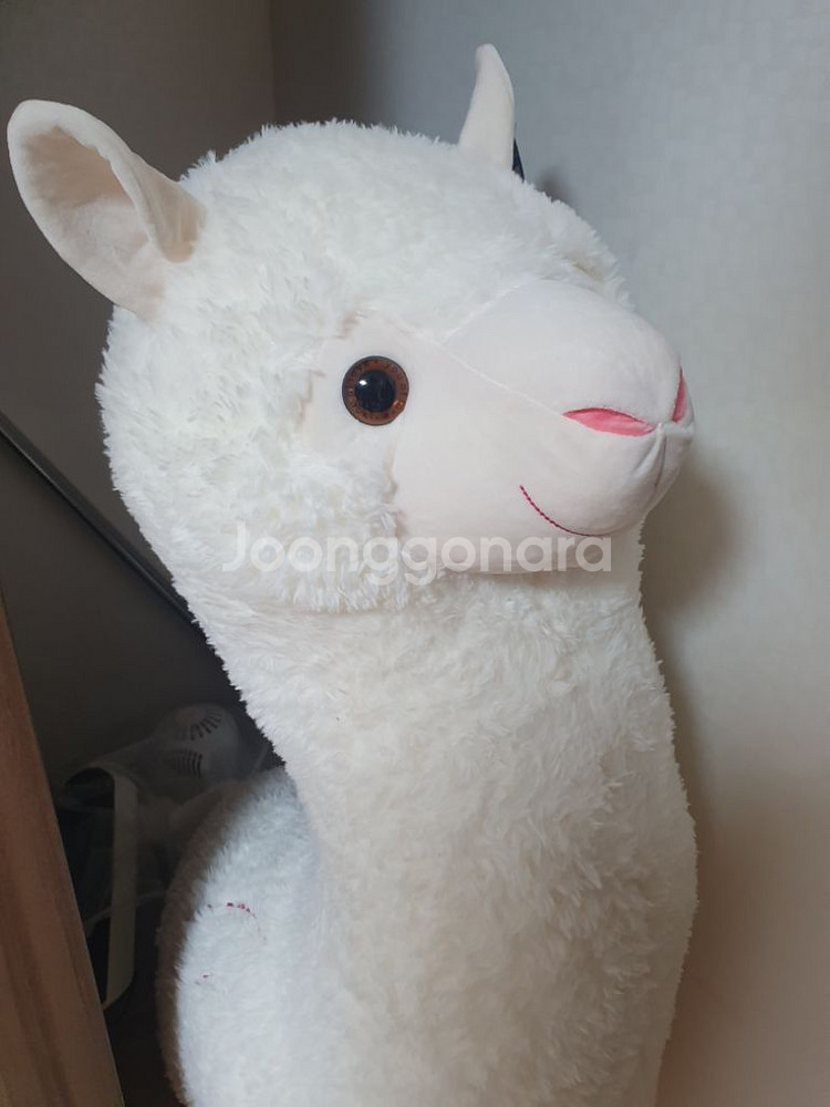 대형 알파카 인형--0