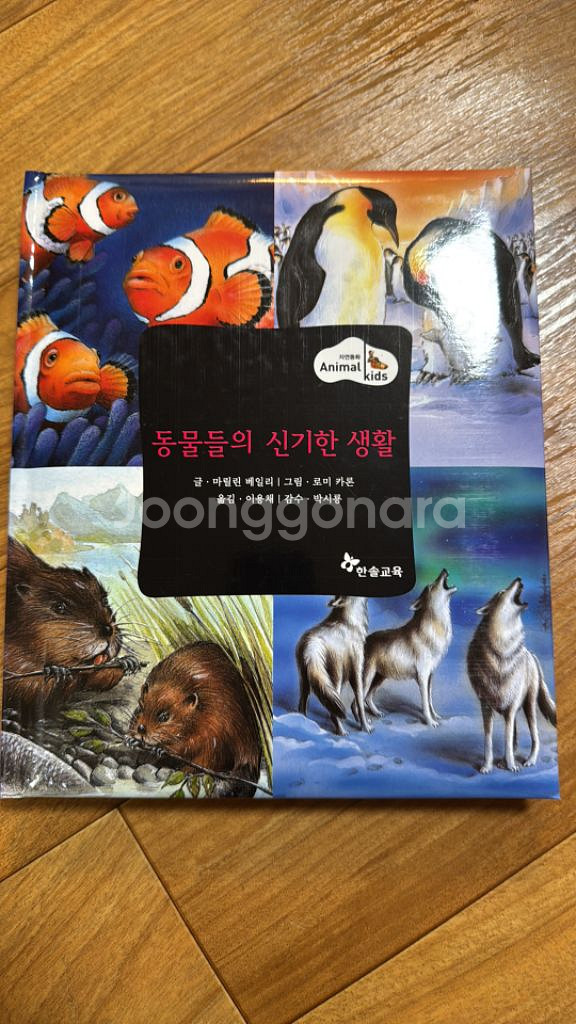 동물들의 신기한 생활--0