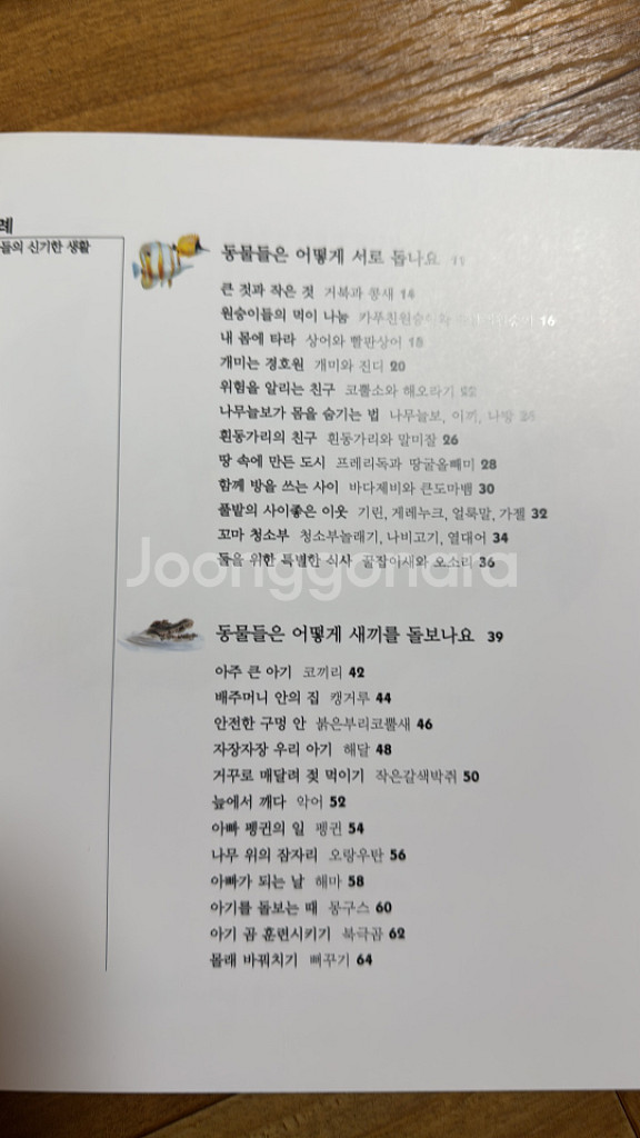 동물들의 신기한 생활--3