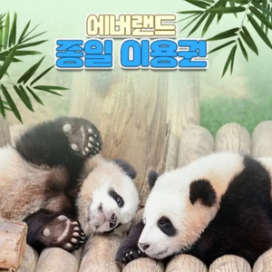 에버랜드 자유이용권 주말 포함 37000