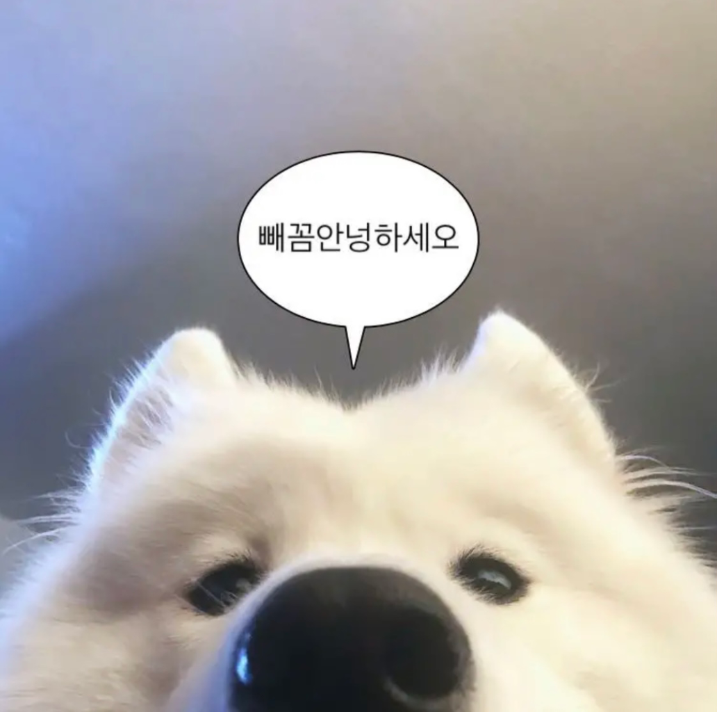 프로파일