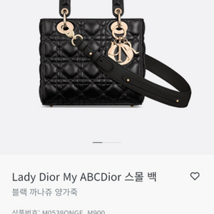 디올 레이디백