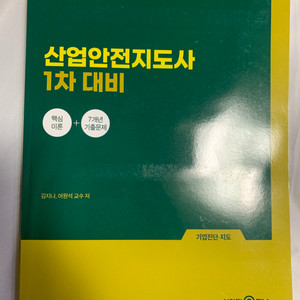 산업안전지도사 1차 대비/기업진단지도