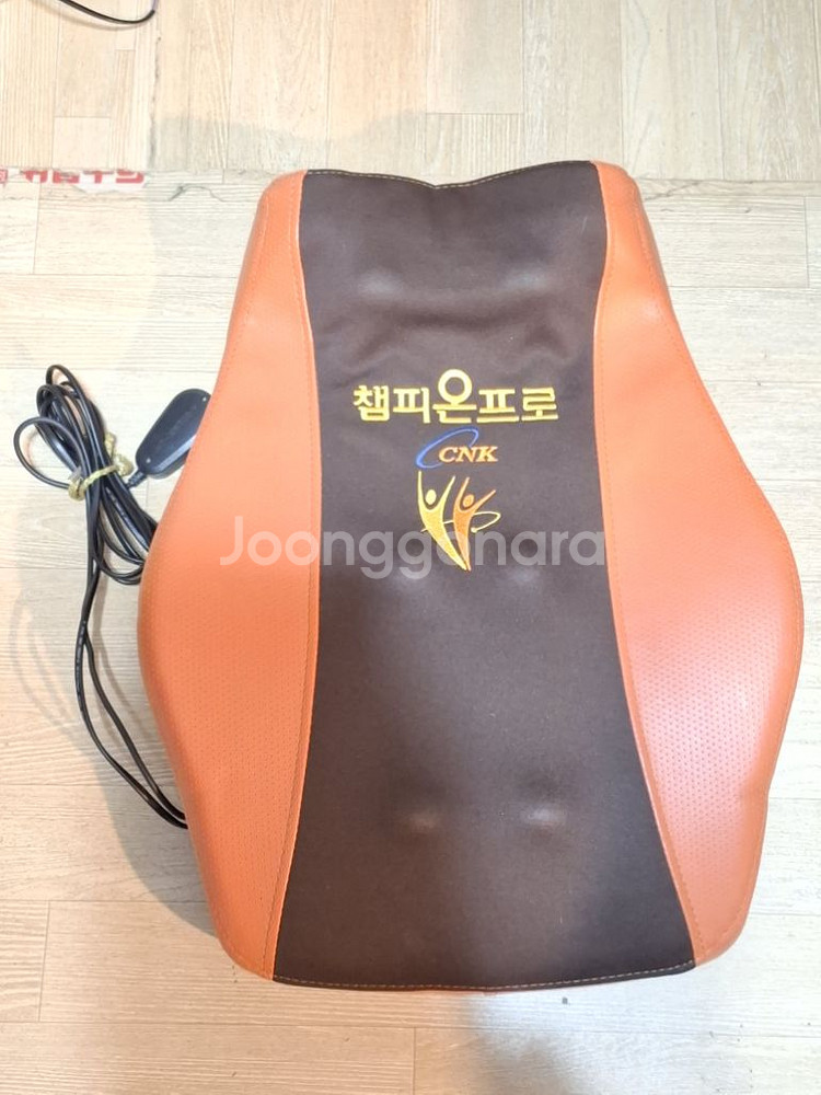 챔피언 마사지기--0