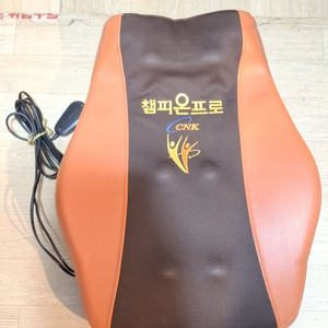 챔피언 마사지기