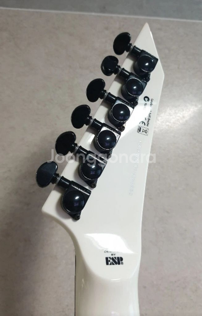 ESP LTD Deluxe M-1000 White 일렉--3