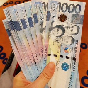 필리핀 페소 (1페소당 25.9원)