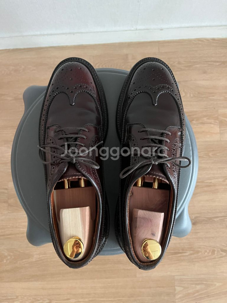 알든 Alden 975 코도반 롱윙 7D--3
