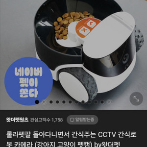 롤라펫 자동 간식 로봇