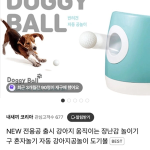 강아지 공놀이기구 판매합니다