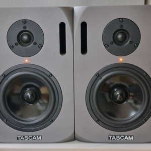 TASCAM VL-A5 모니터 스피커