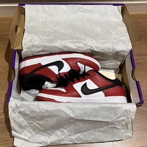 나이키 덩크로우 프로 시카고 250