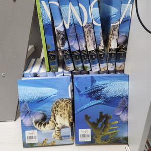 백과사전
