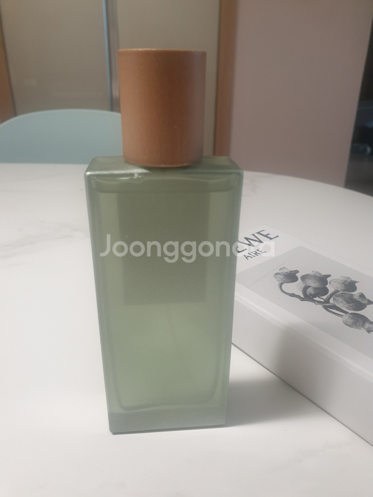 로에베 수틸레사--1
