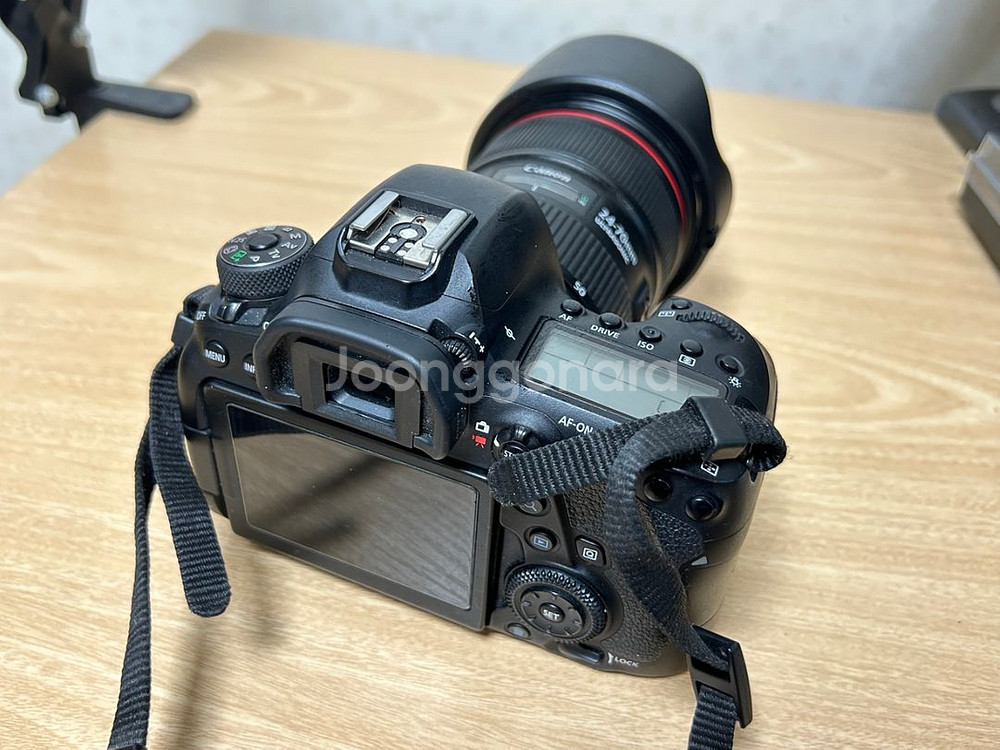 canon 6d mark2 24 70mm f/2.8L--0