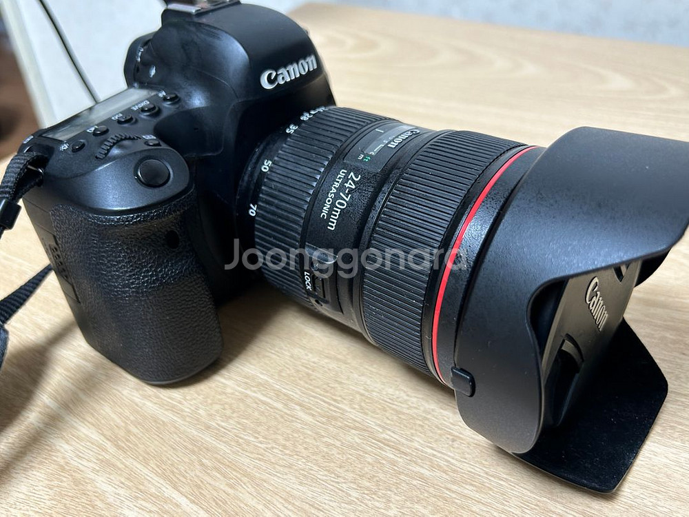 canon 6d mark2 24 70mm f/2.8L--2