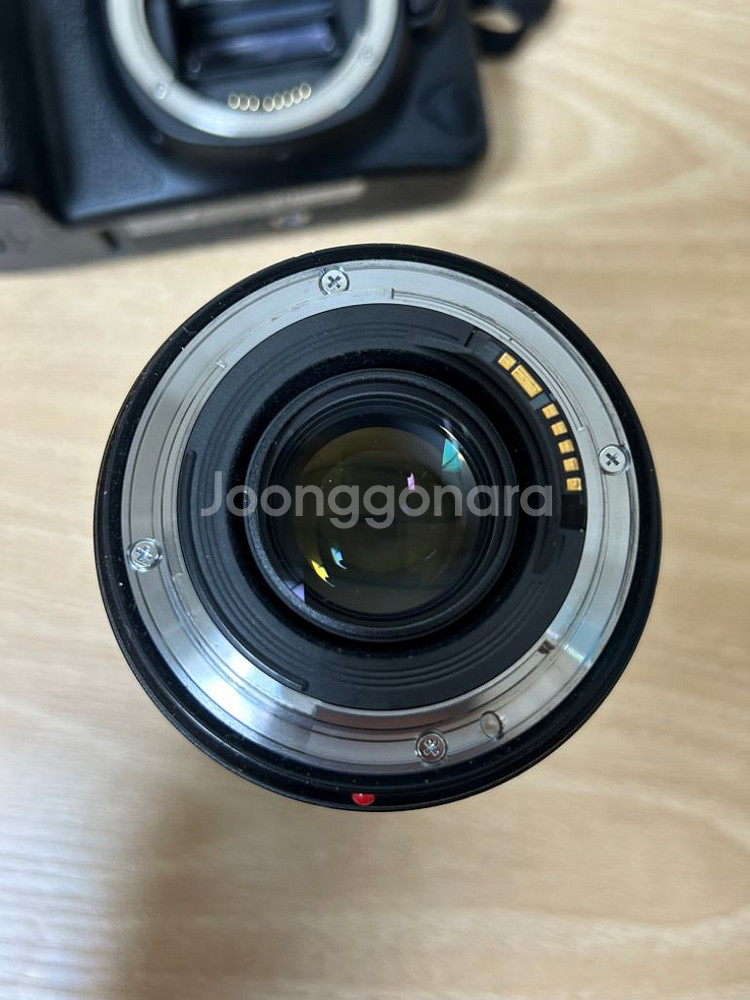 canon 6d mark2 24 70mm f/2.8L--4