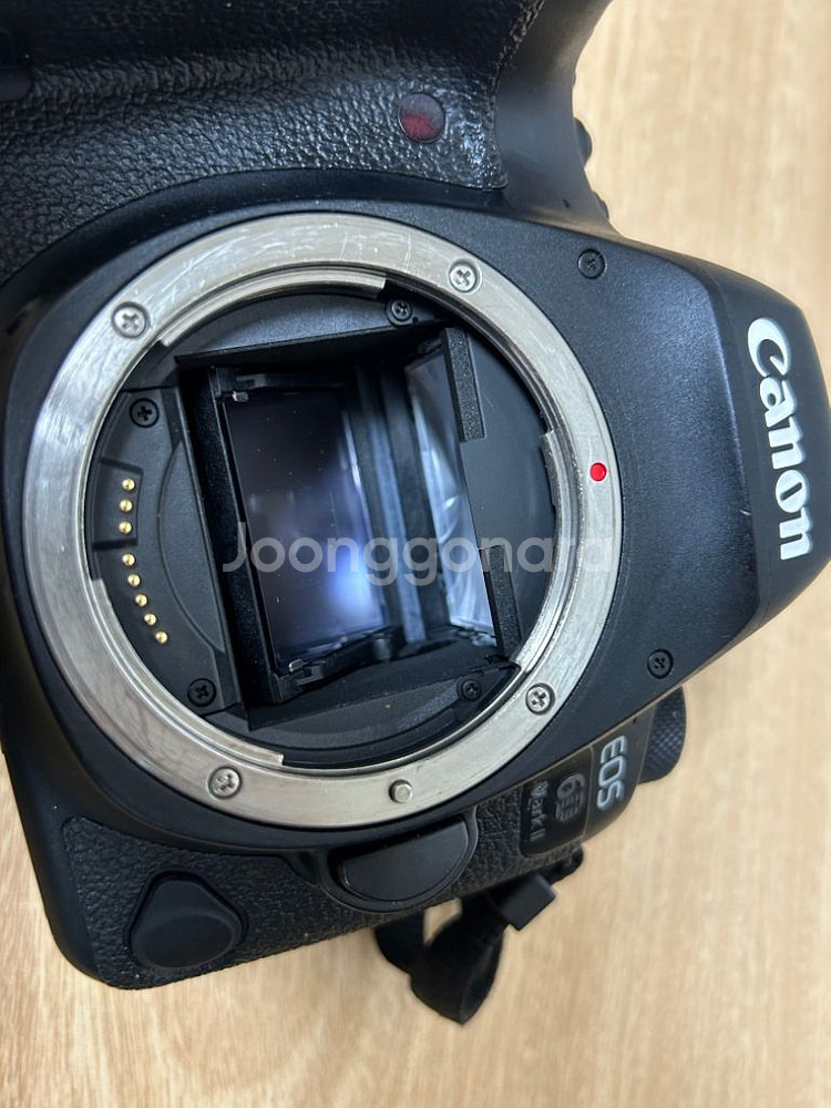canon 6d mark2 24 70mm f/2.8L--5