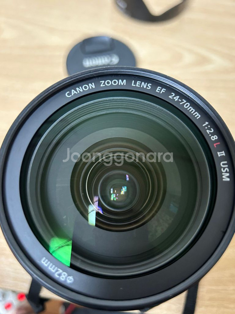 canon 6d mark2 24 70mm f/2.8L--6