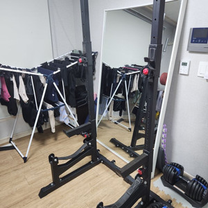 서울] 홈짐 파워랙 스쿼트랙 팝니다