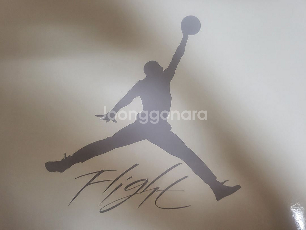 나이키 sb x 에어조던4--0