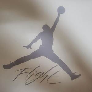 나이키 sb x 에어조던4