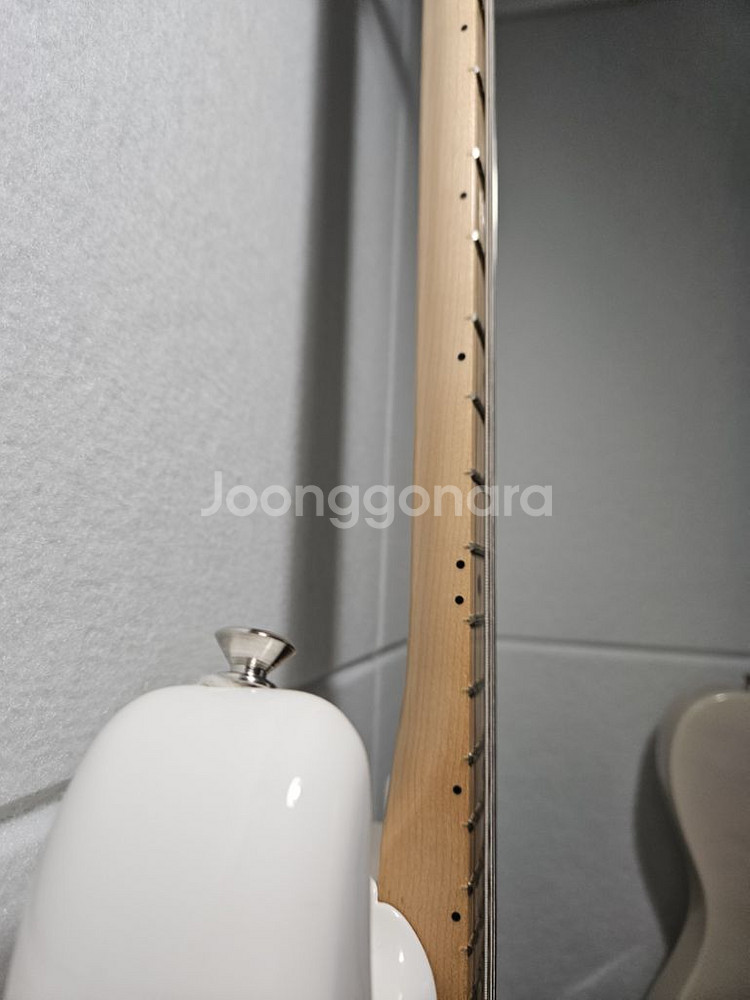 멕펜) 펜더 Fender player SSS (싱싱싱)--1