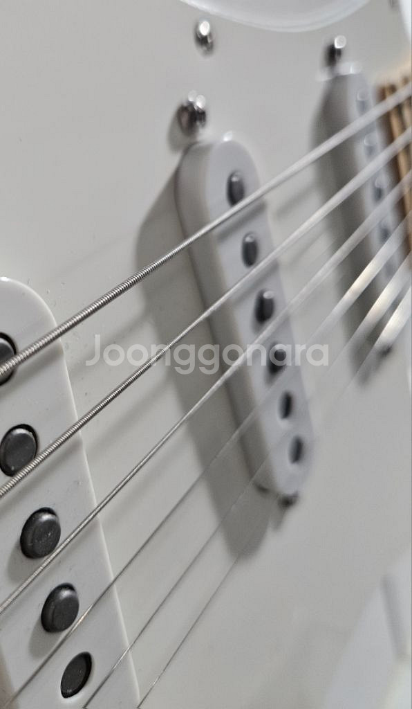 멕펜) 펜더 Fender player SSS (싱싱싱)--2