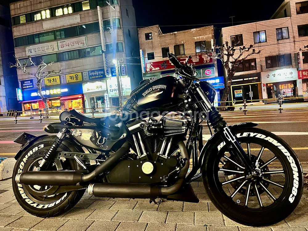 할리데이비슨 아이언883 커스텀--1