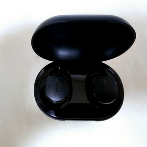 보스 (Bose Quietcomfort Earbuds)