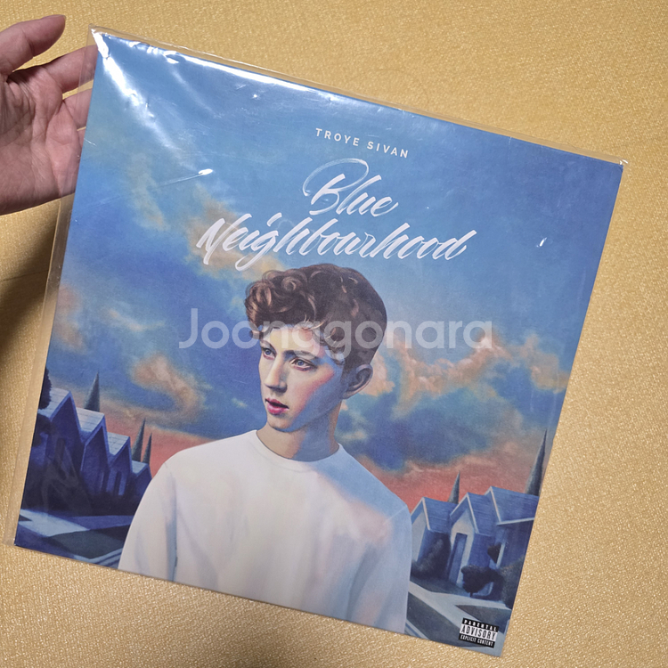 트로이시반 블루네이버후드 블랙반 lp--0