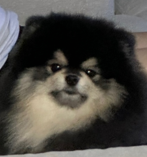 프로필 이미지