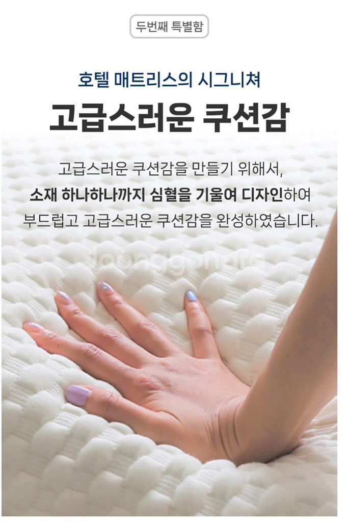 비투스 호텔 매트리스 미디엄 소프트 30cm--2