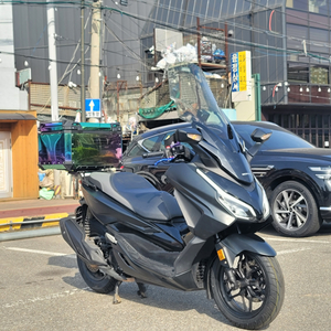 24년식 포르자350 레인보우알탑 판매합니다