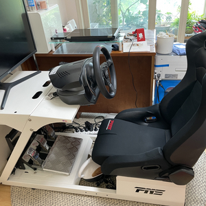 트러스트마스터 t500rs + 시트 + 거치대