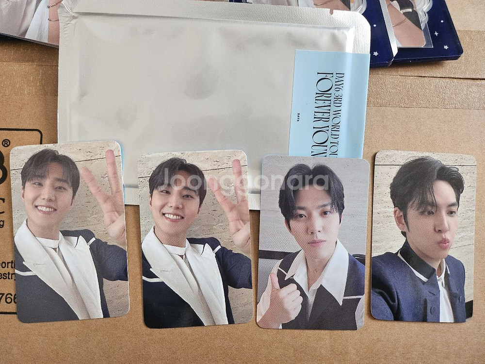 데이식스 부산 온라인 엠디포카--0