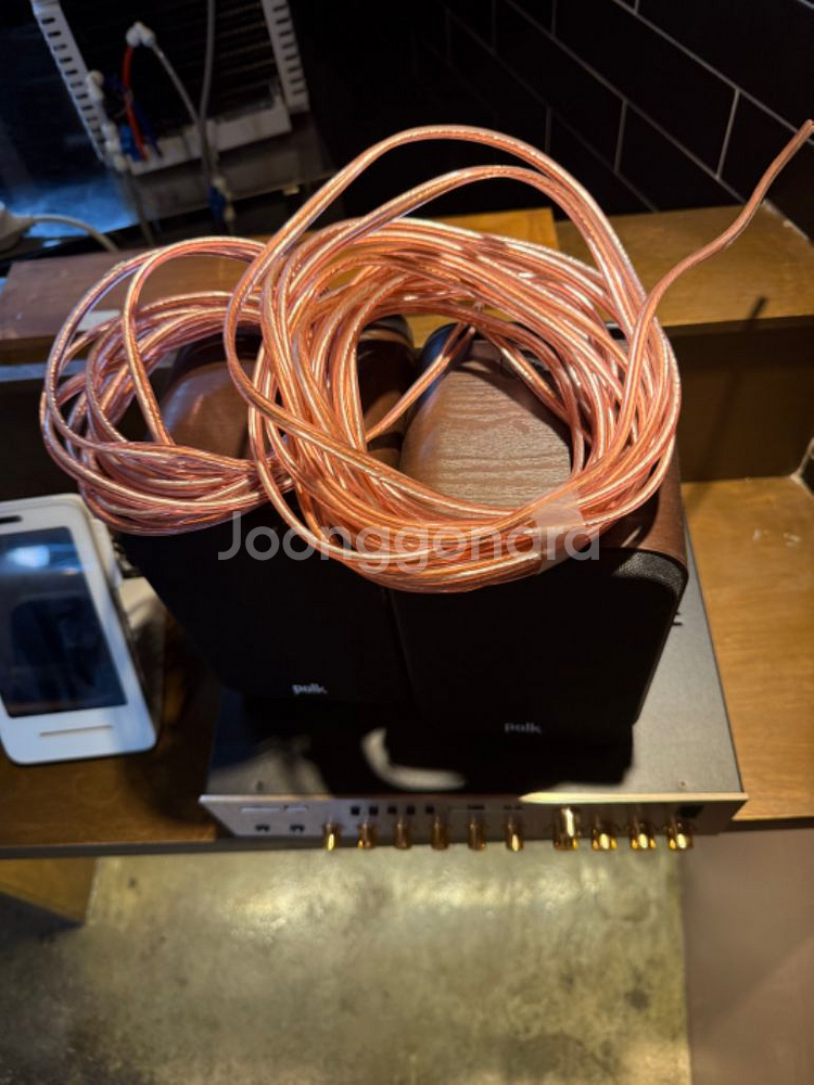 Polk Audio ES10 +epa mk-120 엠프--3