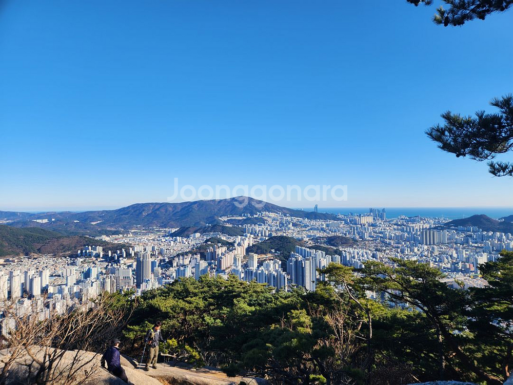 블로그 임대 블로그 대여 구합니다 최블--1