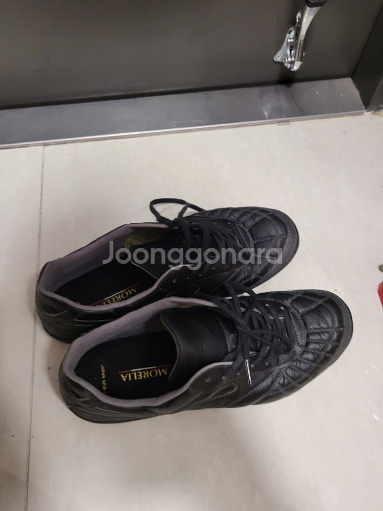 미즈노 살라재팬TF--1