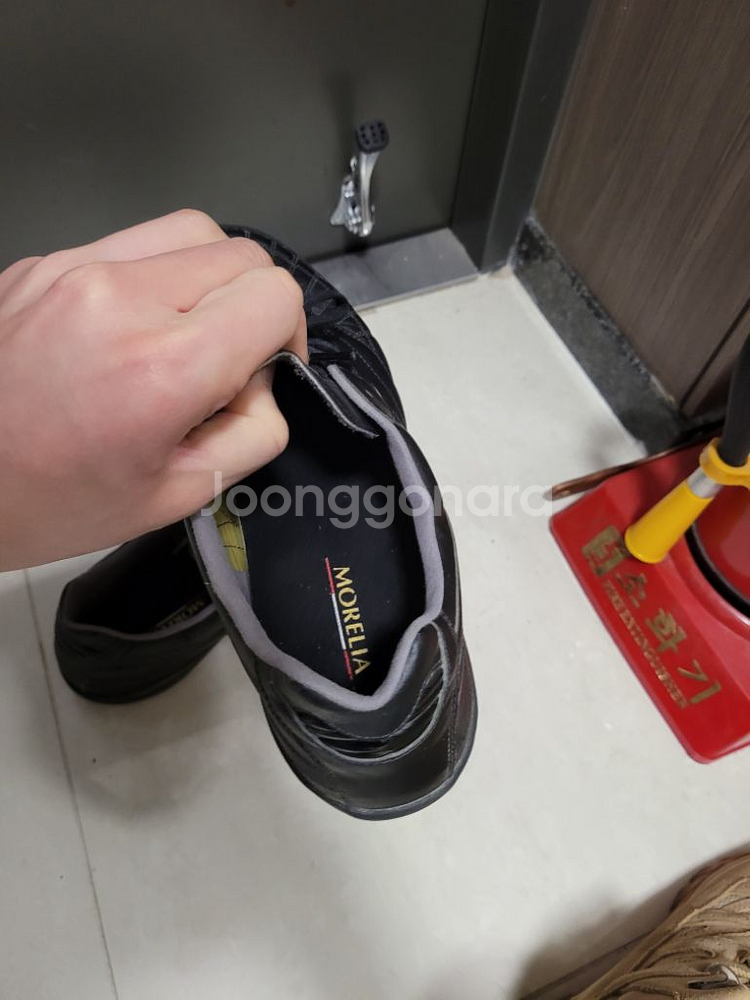 미즈노 살라재팬TF--4