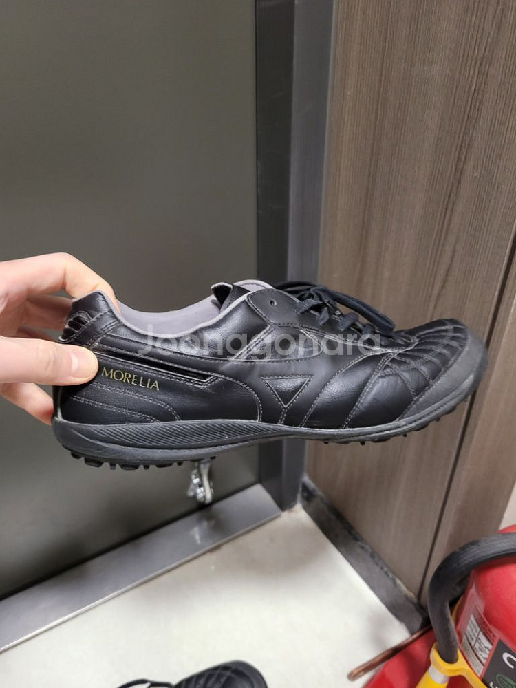 미즈노 살라재팬TF--2