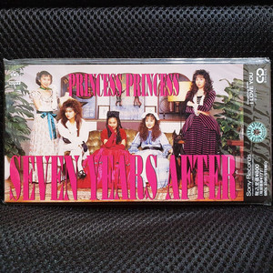 프린세스 프린세스 SEVEN YEARS AFTER