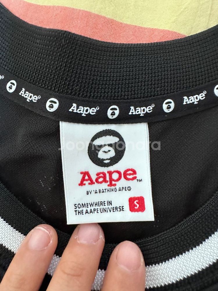 aape 브라--1