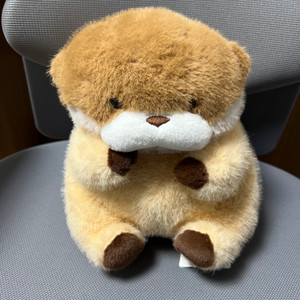 속았지 우소우소짱 (브라운) 인형 팝니당