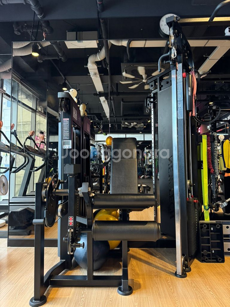 뉴텍 어드반스 레그익스텐션--0