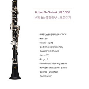 부페 클라리넷 프로디지 연습용 클라리넷 풀패키지