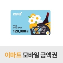 이마트 모바일 금액원 45만원
