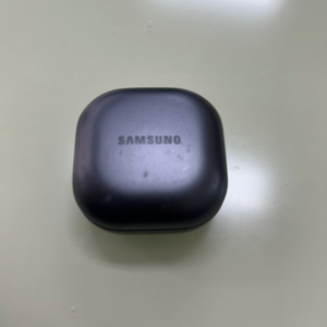 버즈